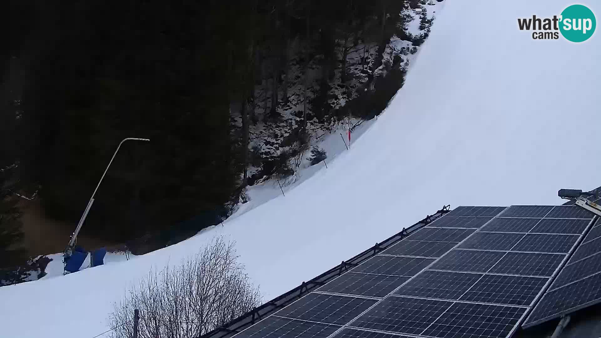 Web kamera Rogla apartmani Dandi – Jurgovo