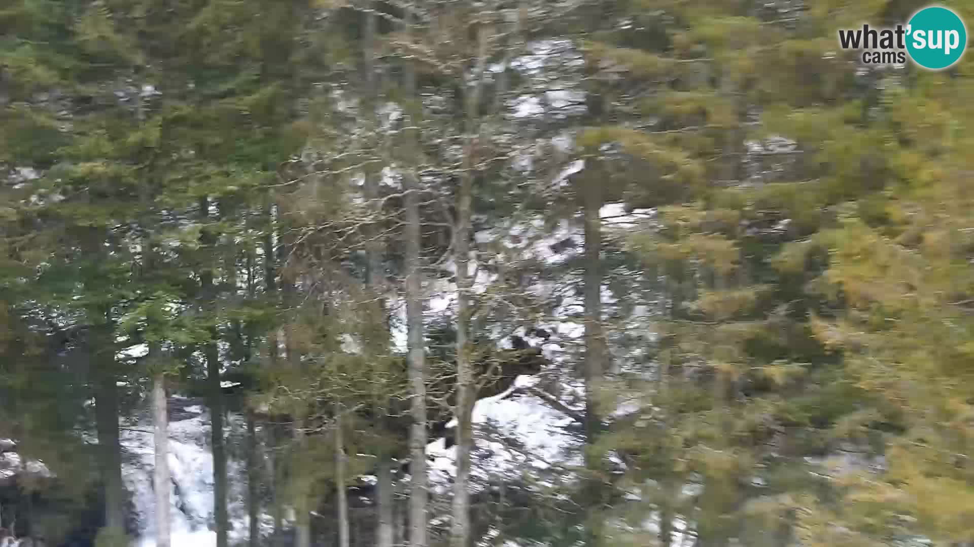 Camera en vivo Rogla appartamentos Dandi – Jurgovo