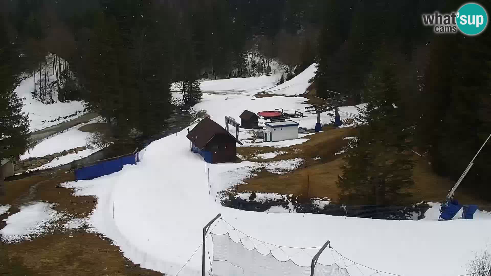 Live Rogla appartements Dandi – Jurgovo