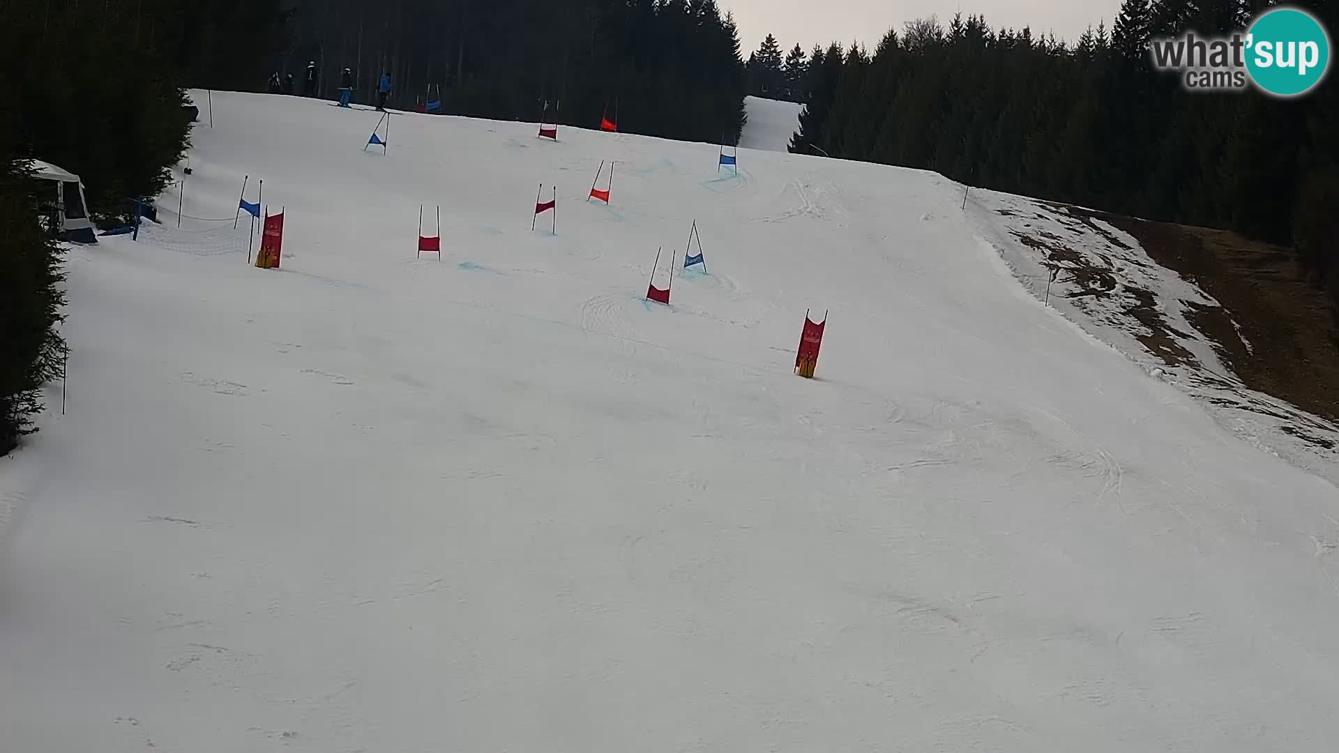 Live Rogla appartements Dandi – Jurgovo