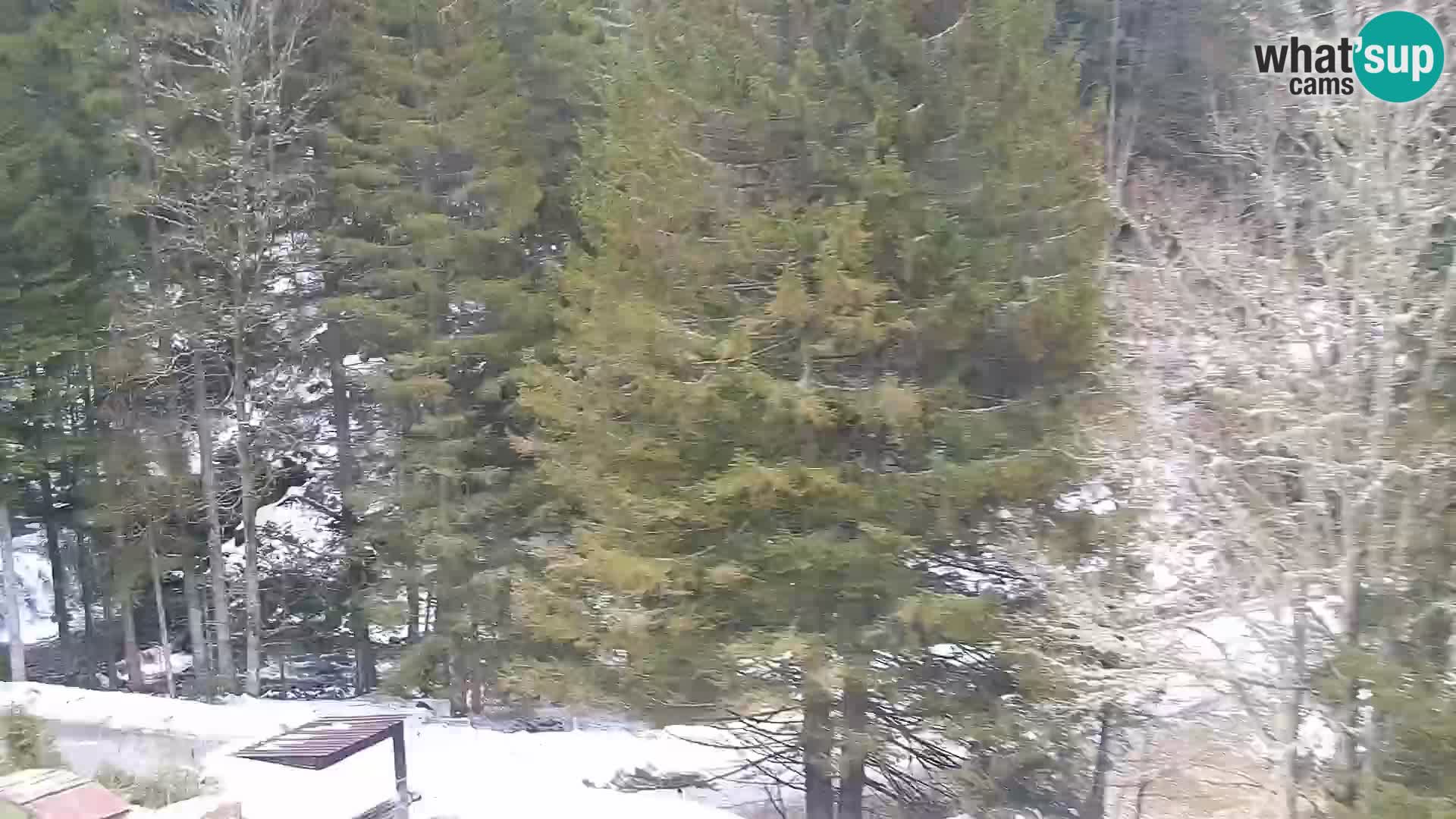 Live Rogla appartements Dandi – Jurgovo