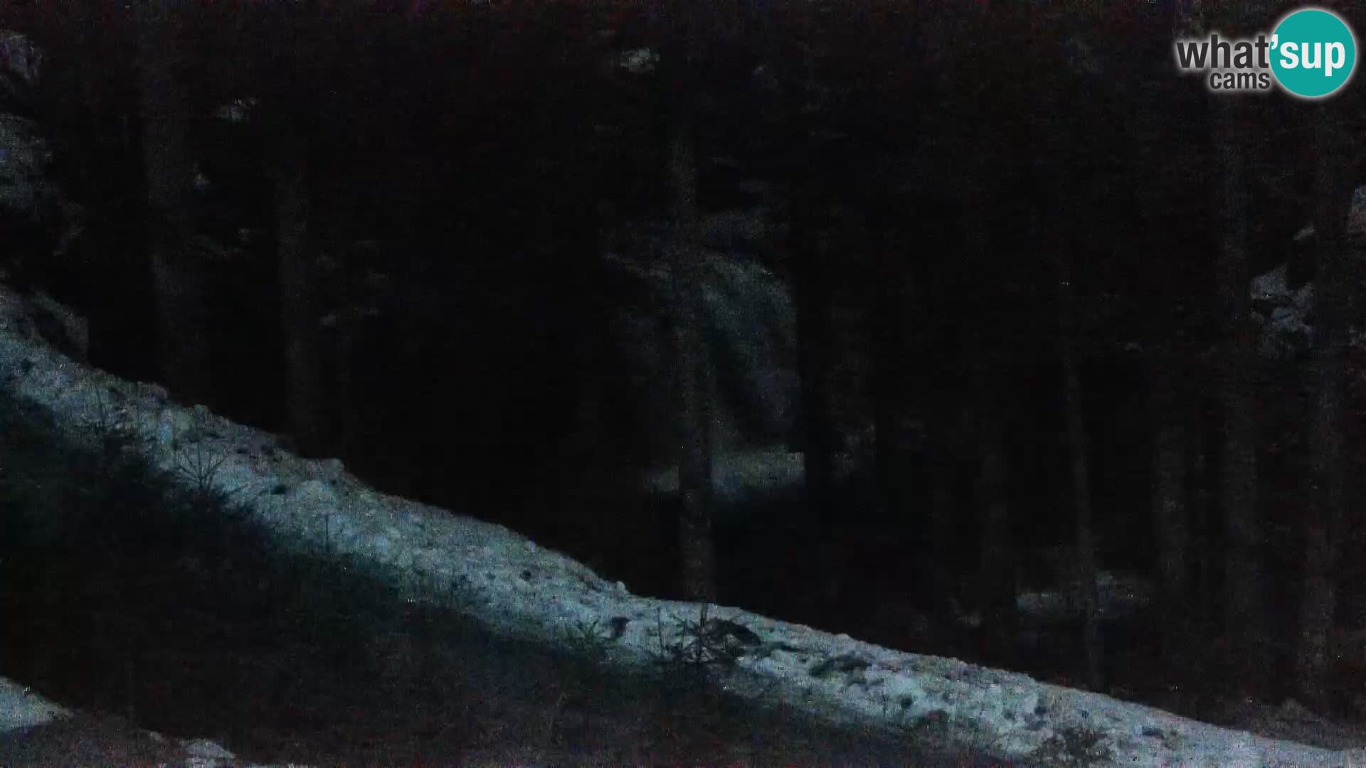 Camera en vivo Rogla appartamentos Dandi – Jurgovo