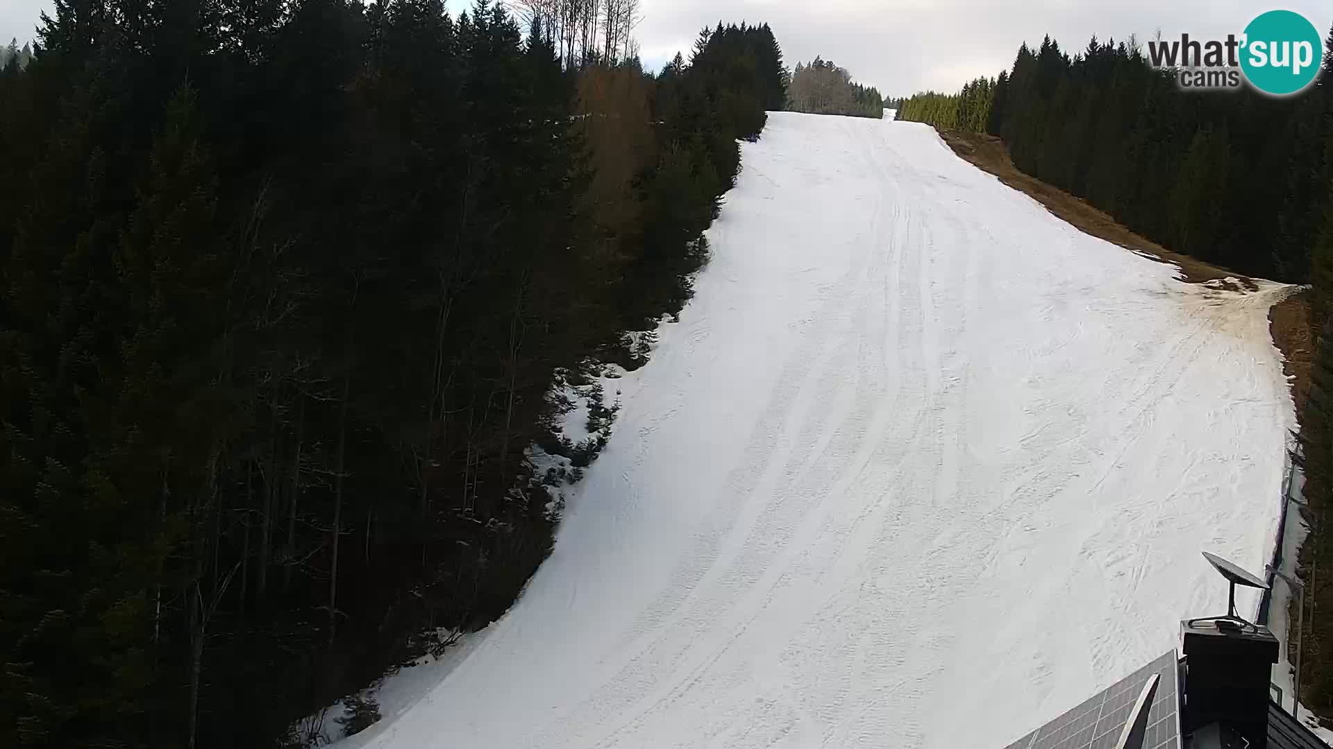 Webcam Rogla Wohnungen Dandi – Jurgovo