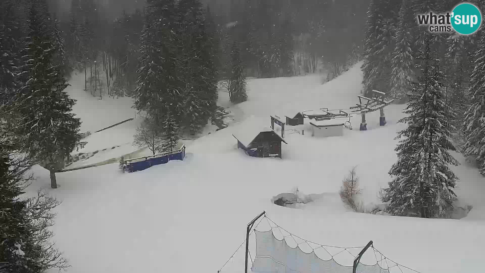 Livecam Rogla apartments Dandi – Jurgovo