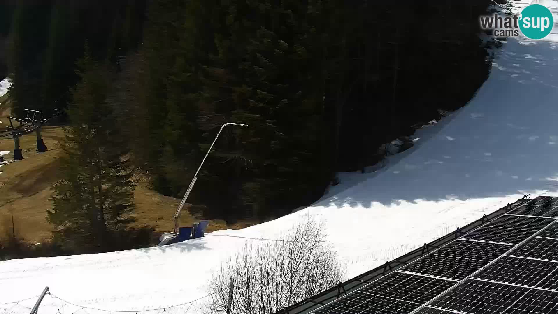 Webcam Rogla Wohnungen Dandi – Jurgovo