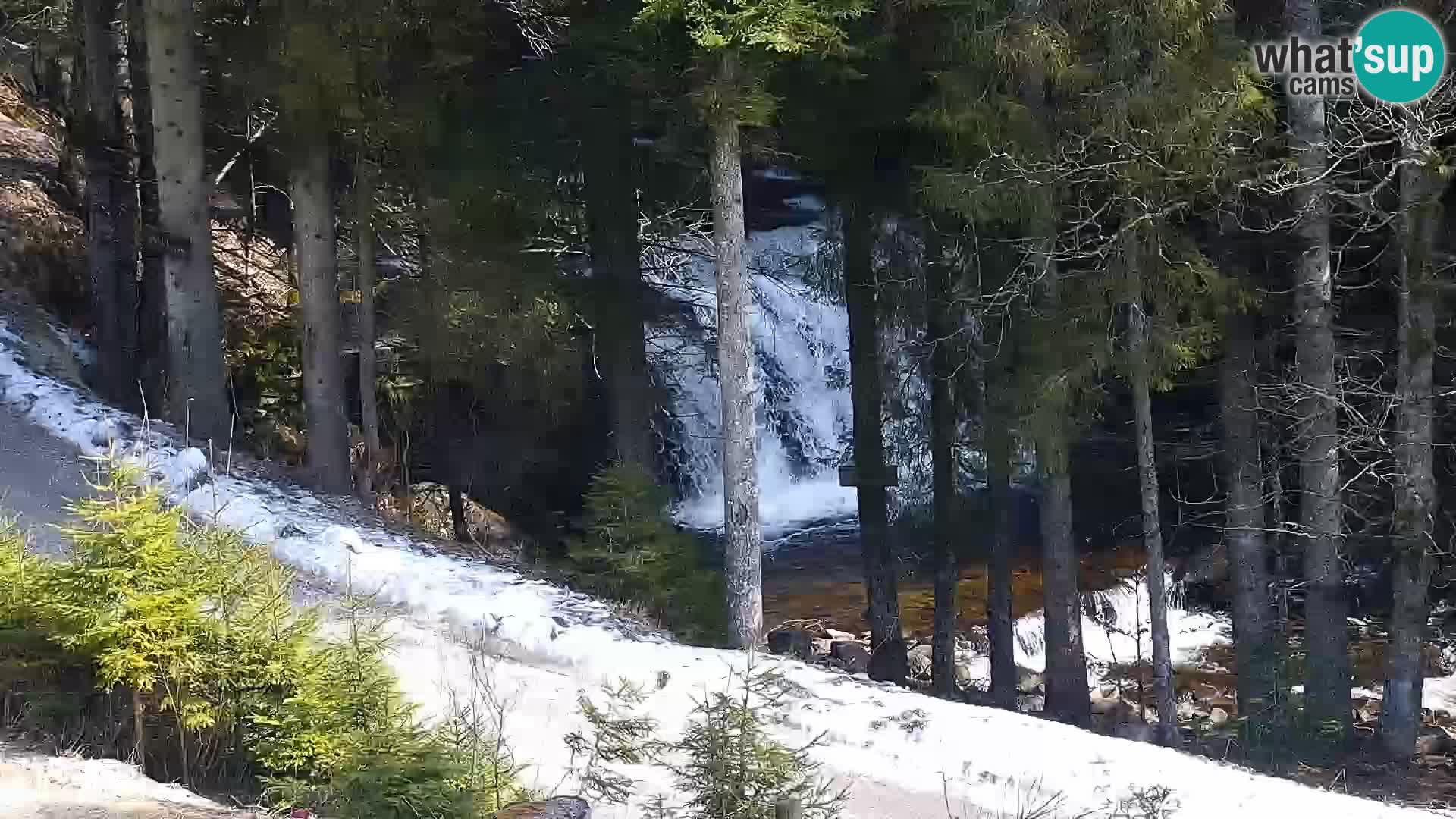 Webcam Rogla Wohnungen Dandi – Jurgovo