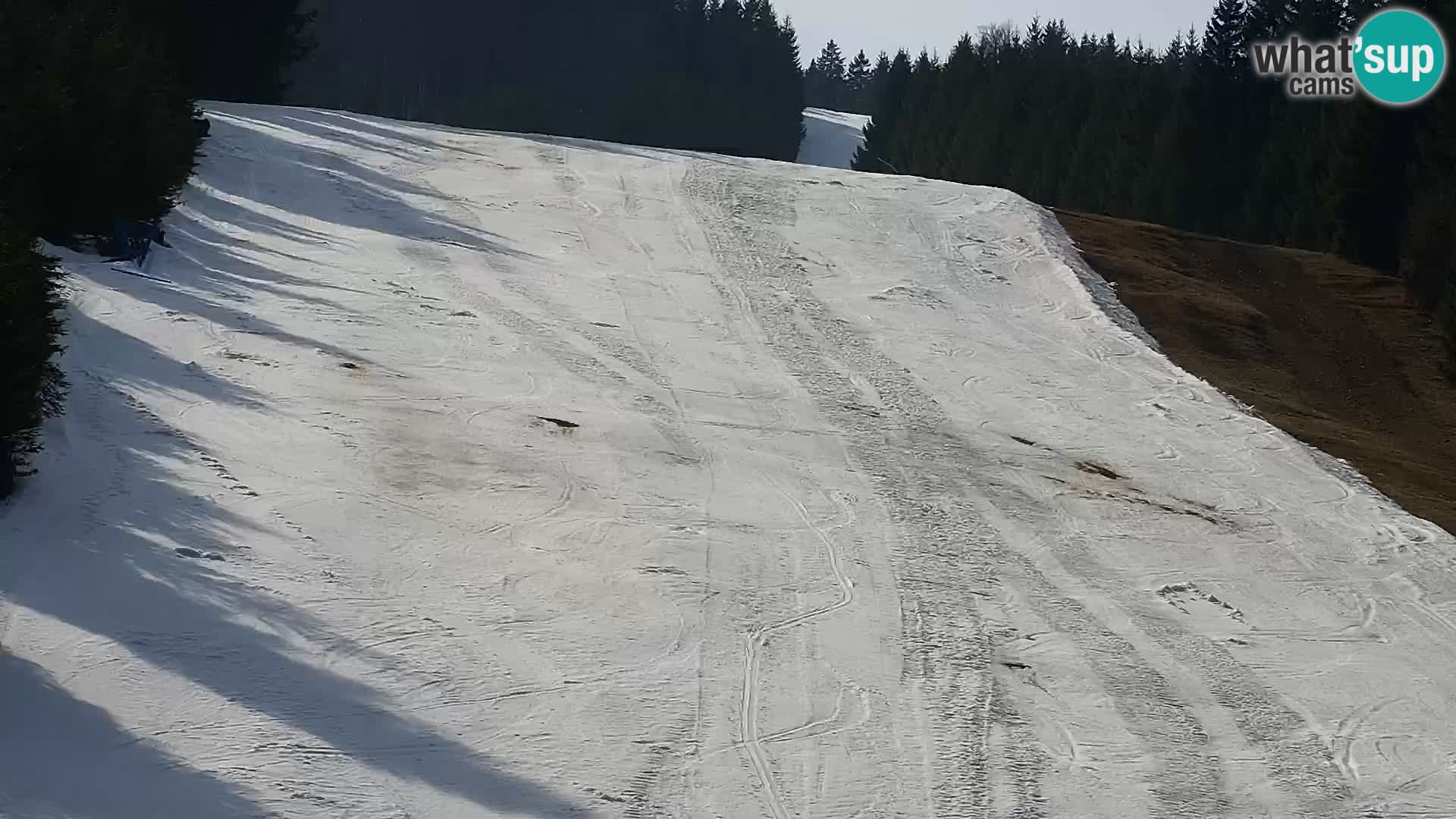 Spletna kamera Rogla apartmaji Dandi – Jurgovo