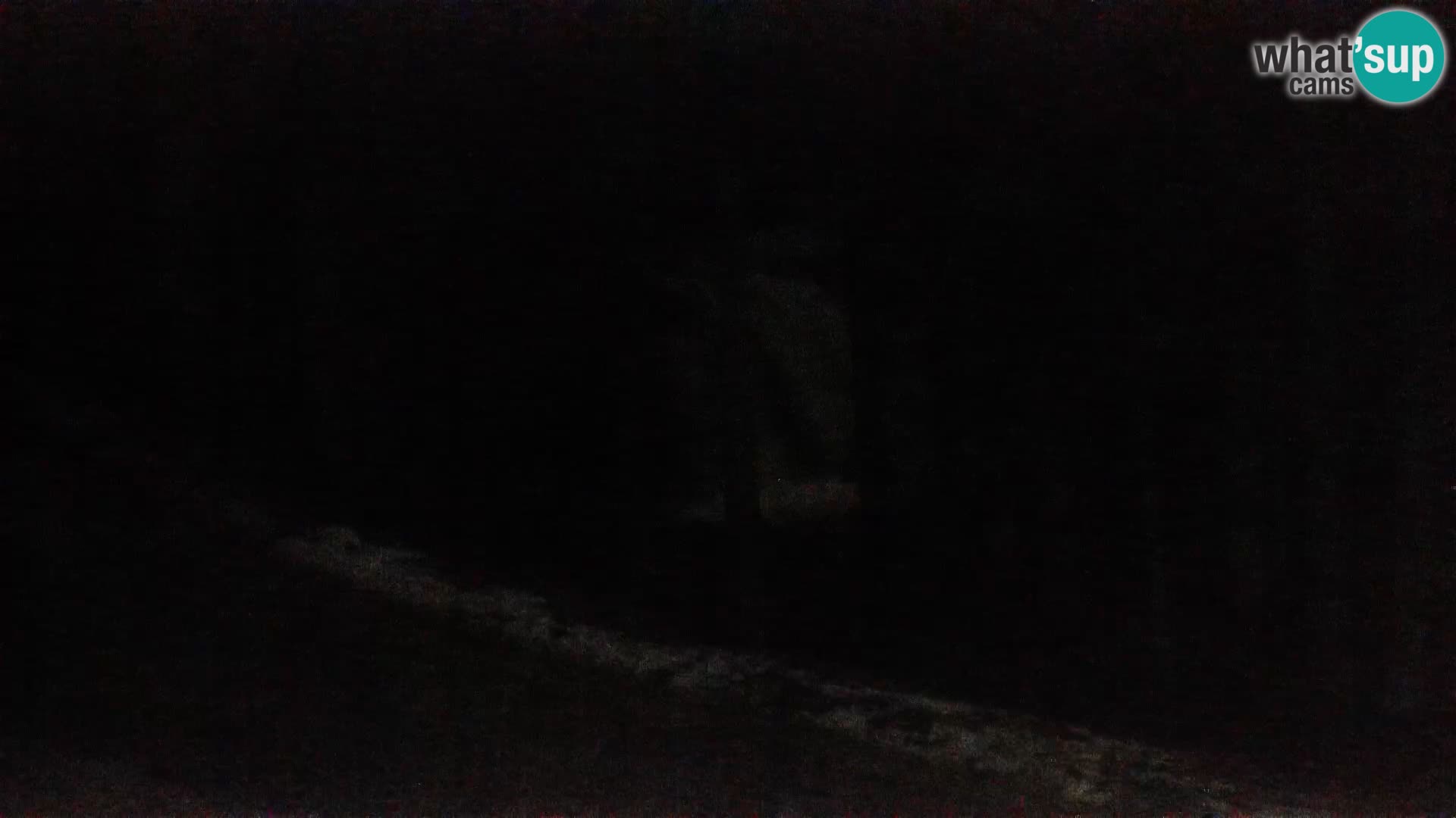 Livecam Rogla apartments Dandi – Jurgovo