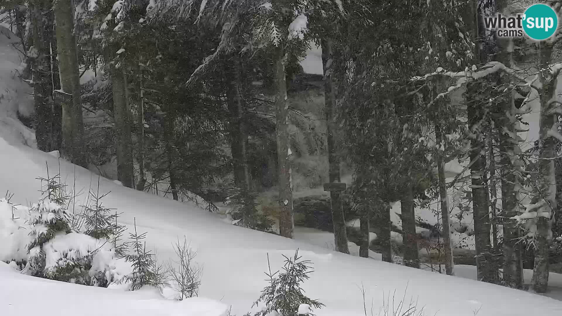 Livecam Rogla apartments Dandi – Jurgovo