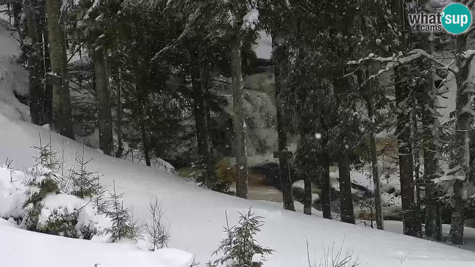 Live Rogla appartements Dandi – Jurgovo