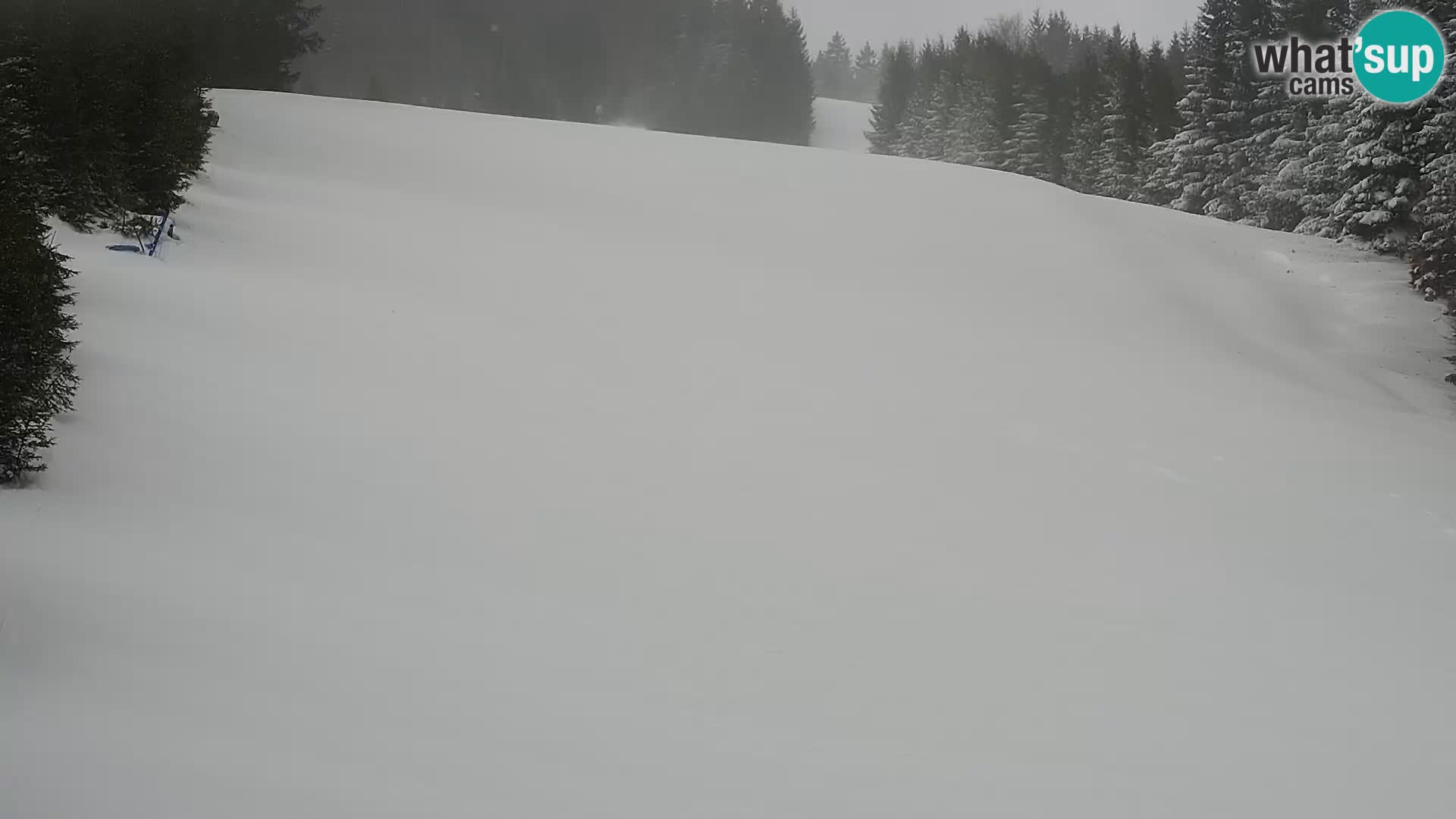 Webcam Rogla Wohnungen Dandi – Jurgovo