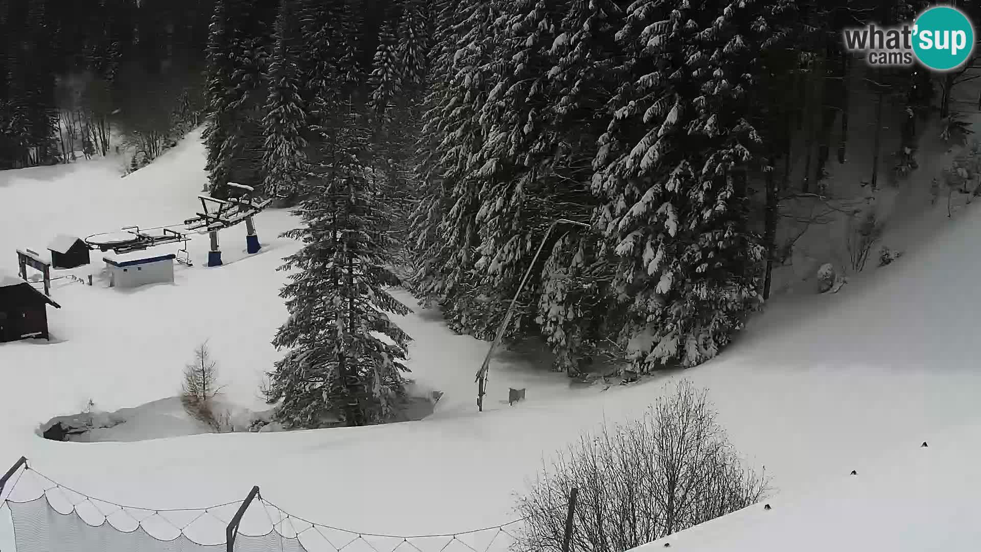 Live webcam Rogla appartamenti Dandi – Jurgovo