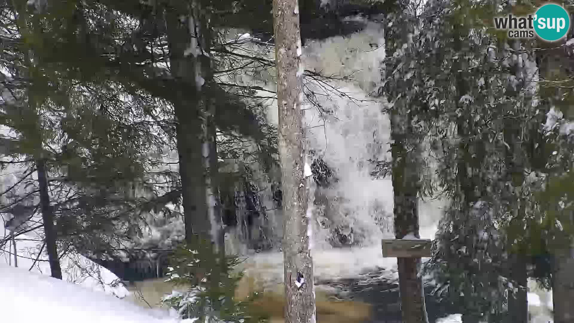 Webcam Rogla Wohnungen Dandi – Jurgovo