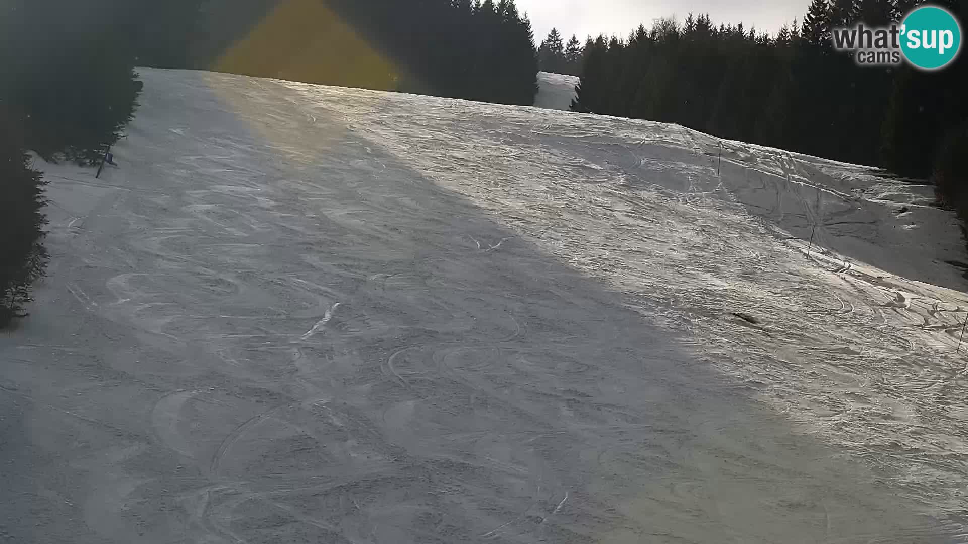 Webcam Rogla Wohnungen Dandi – Jurgovo