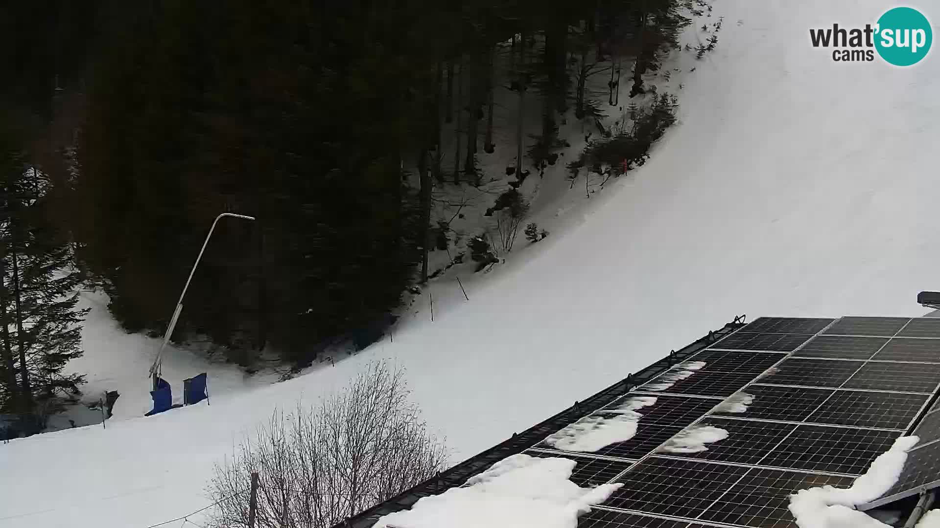 Webcam Rogla Wohnungen Dandi – Jurgovo