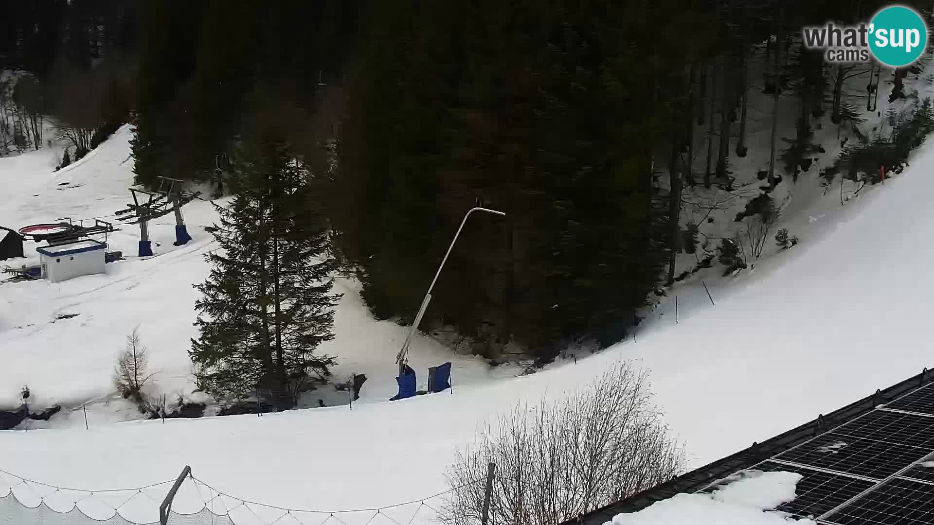 Live Rogla appartements Dandi – Jurgovo