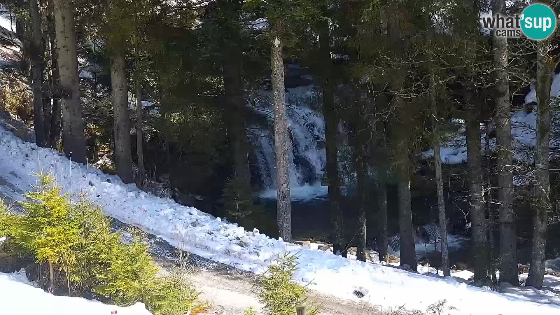 Live Rogla appartements Dandi – Jurgovo