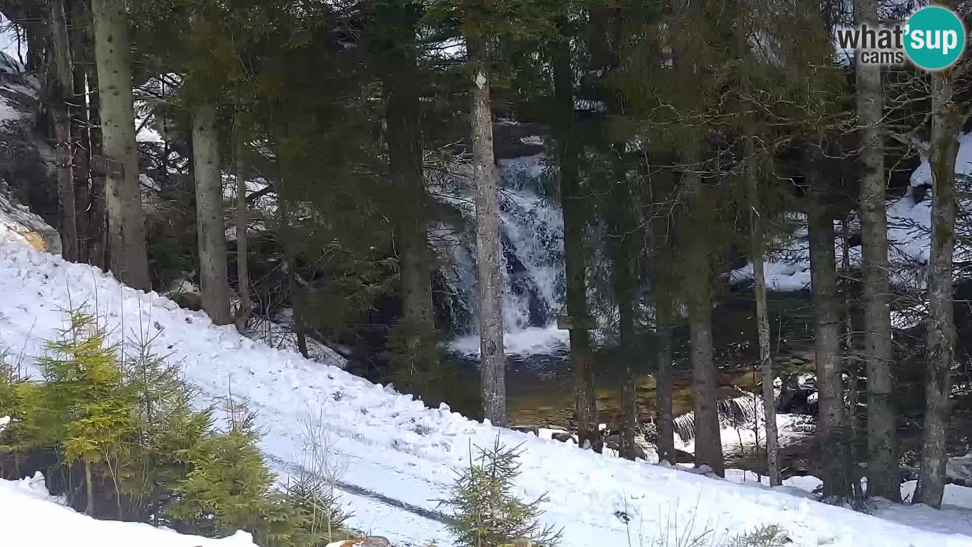 Webcam Rogla Wohnungen Dandi – Jurgovo