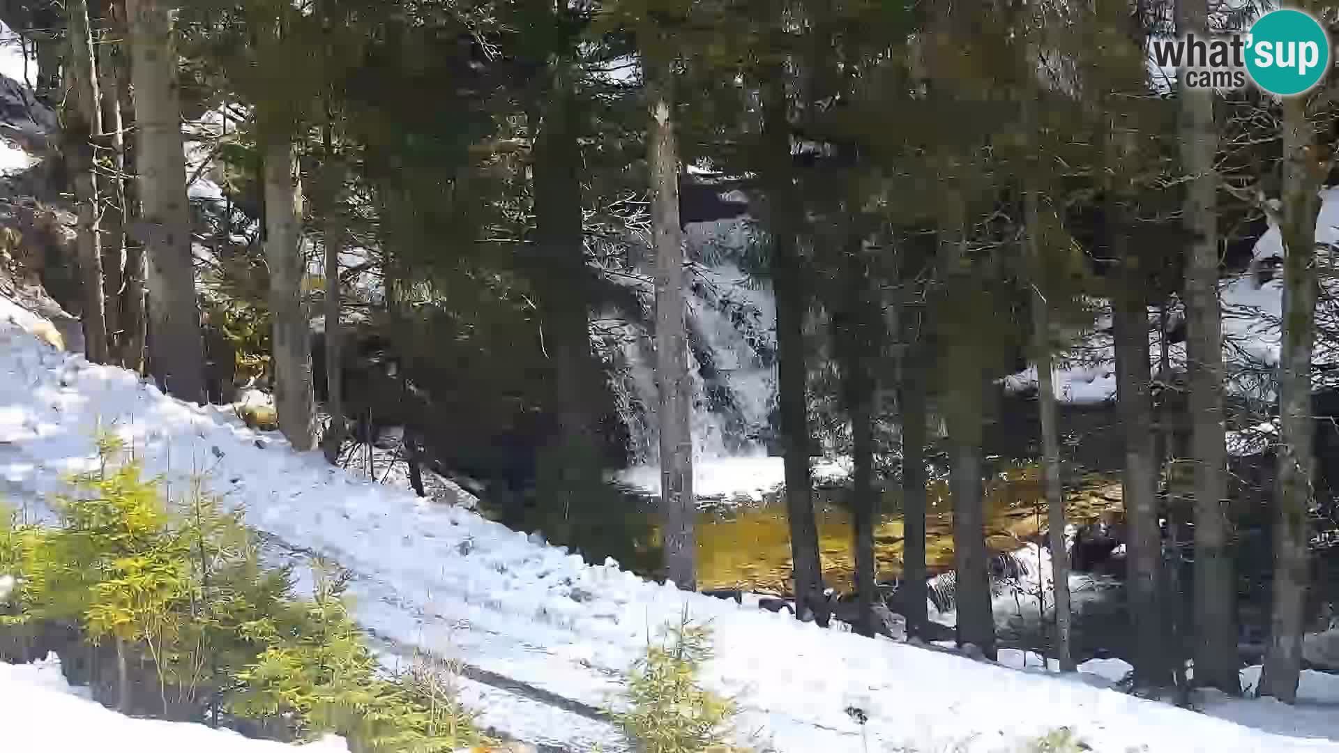 Live Rogla appartements Dandi – Jurgovo