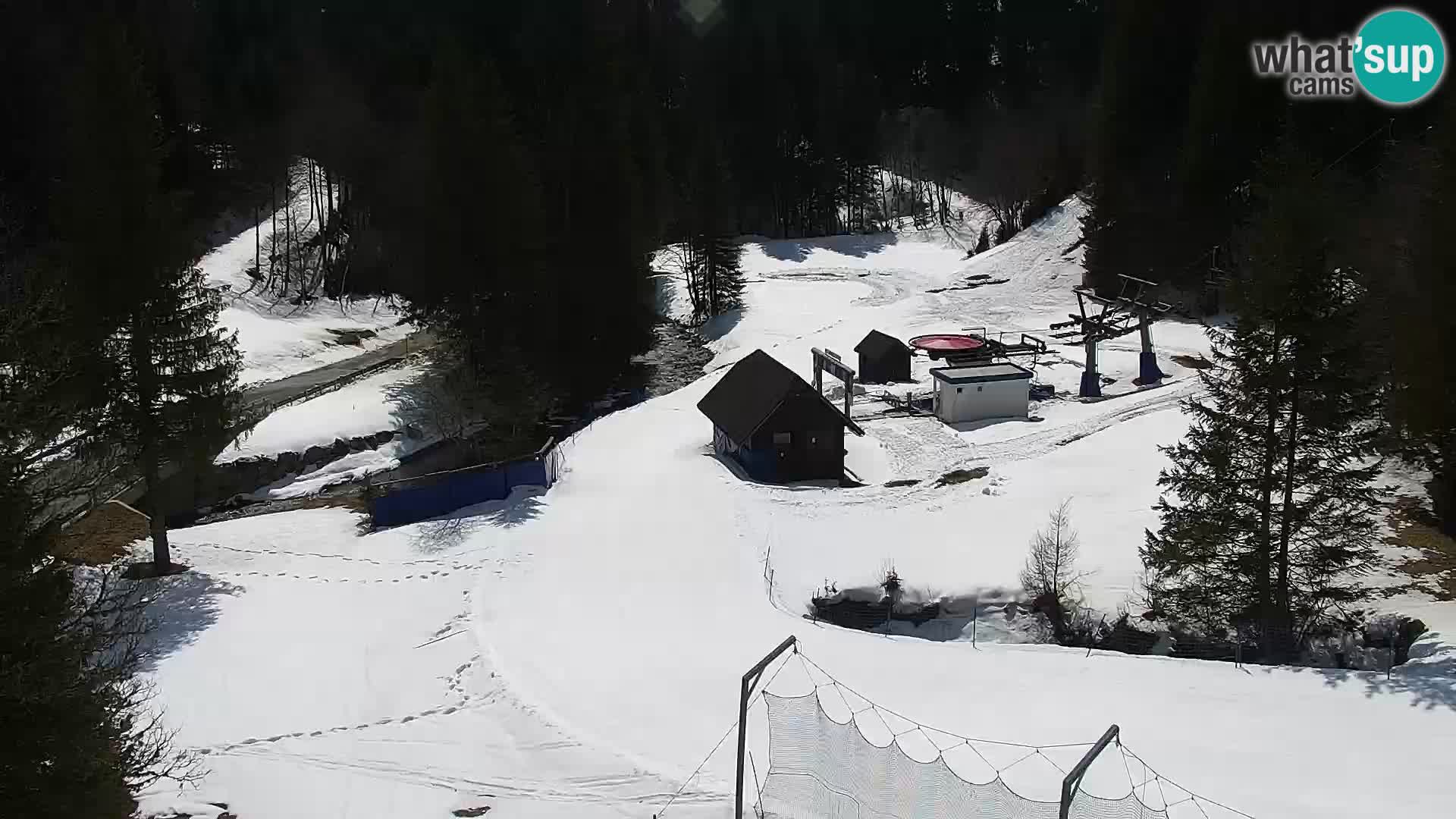 Live Rogla appartements Dandi – Jurgovo