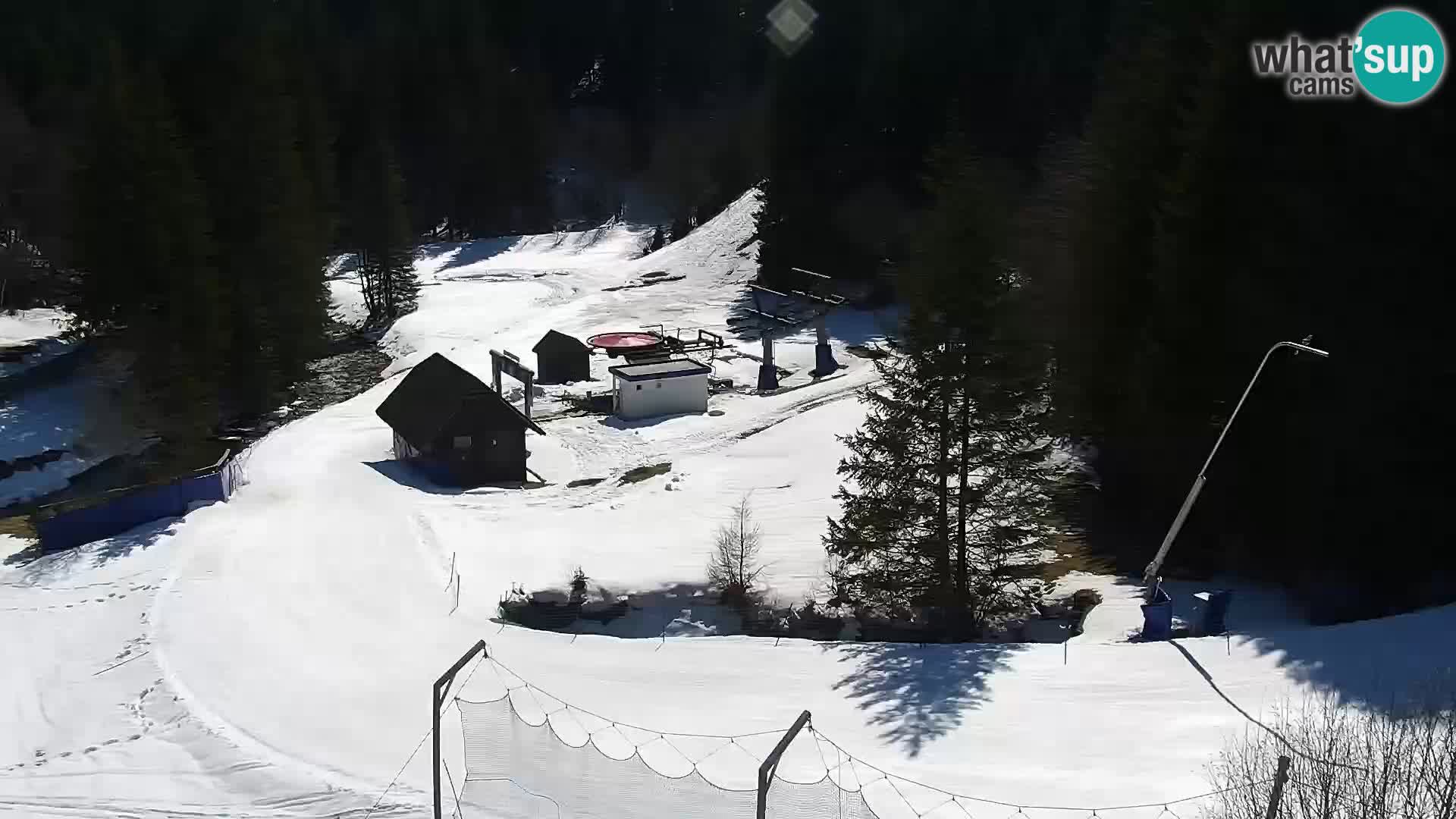 Spletna kamera Rogla apartmaji Dandi – Jurgovo