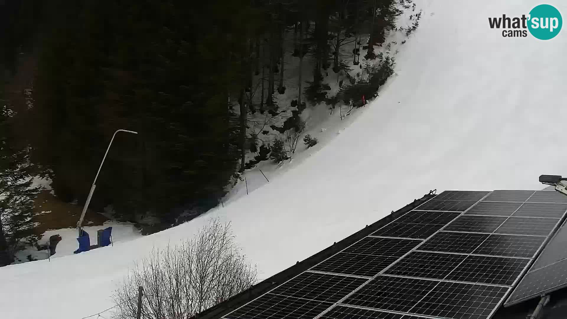 Webcam Rogla Wohnungen Dandi – Jurgovo