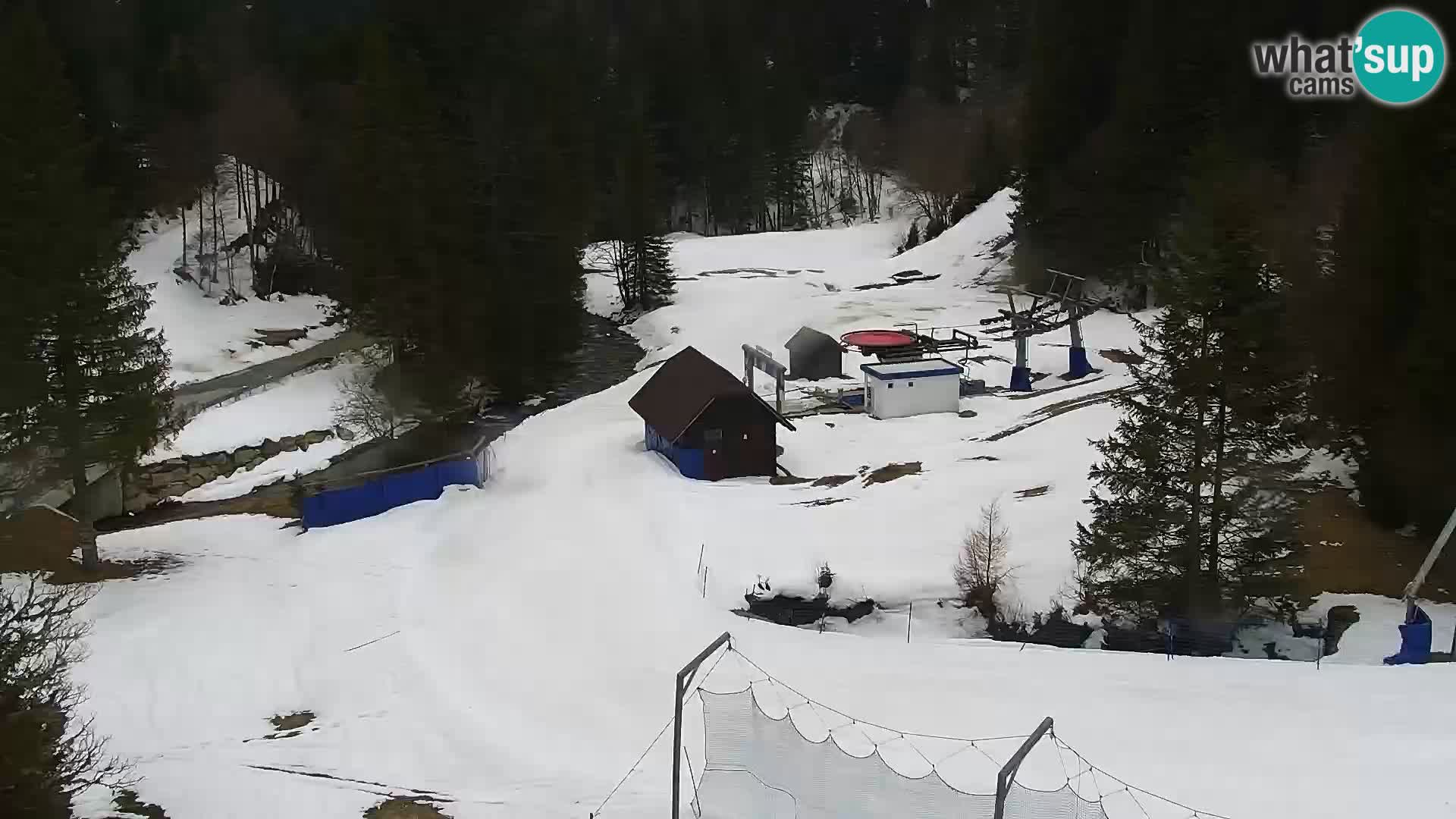 Spletna kamera Rogla apartmaji Dandi – Jurgovo