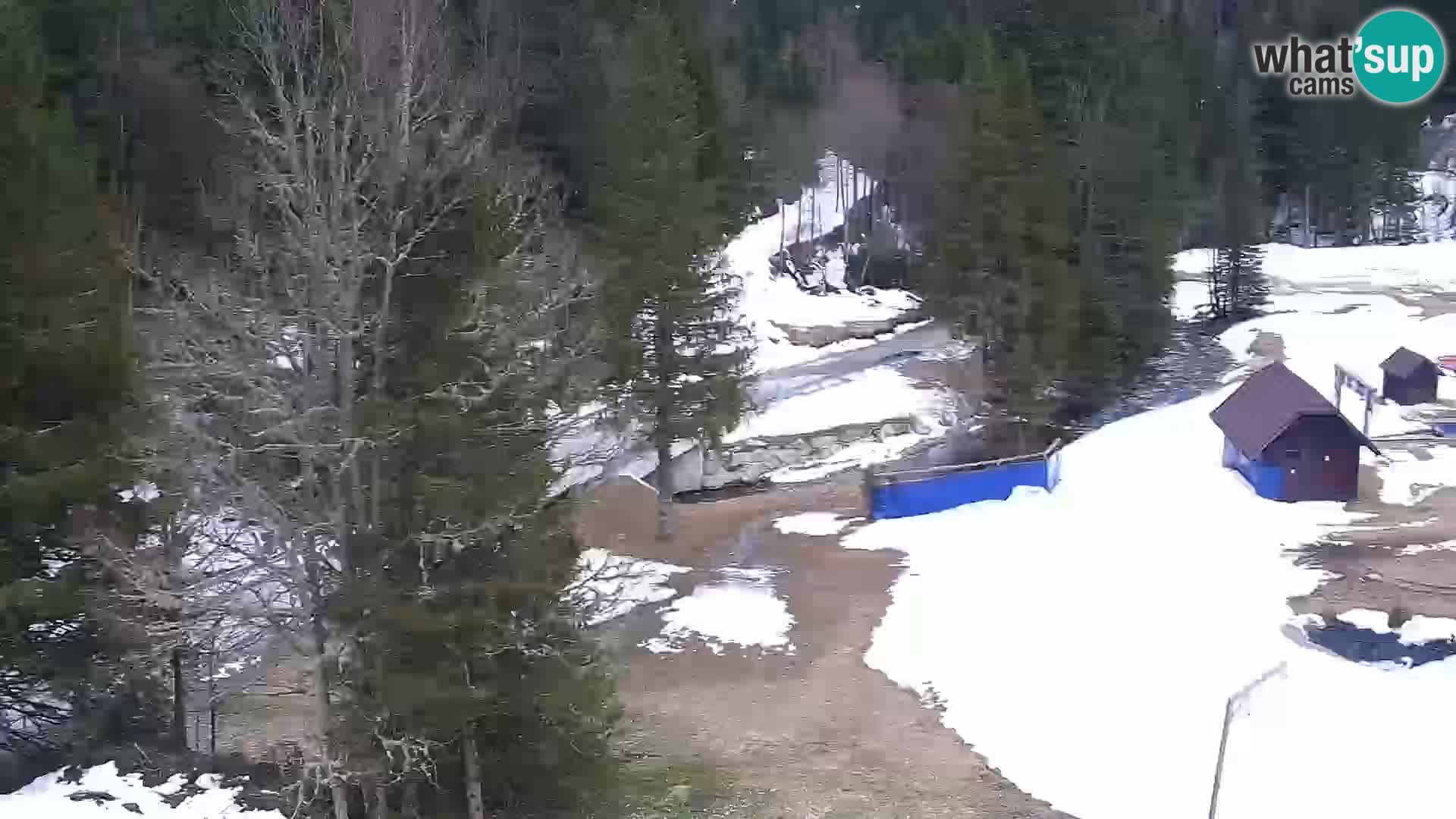 Live Rogla appartements Dandi – Jurgovo