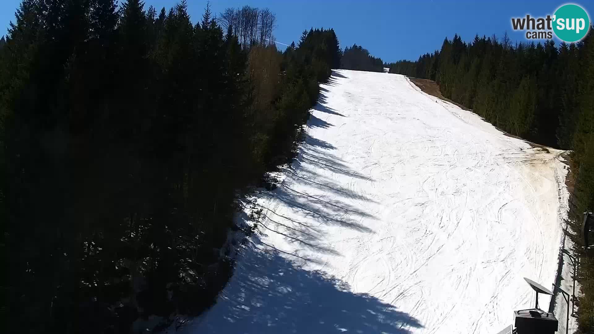 Live Rogla appartements Dandi – Jurgovo