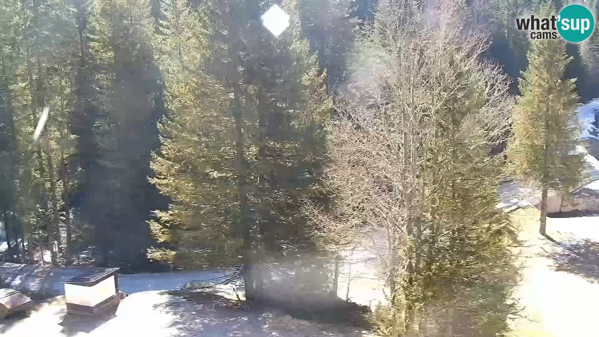 Live Rogla appartements Dandi – Jurgovo