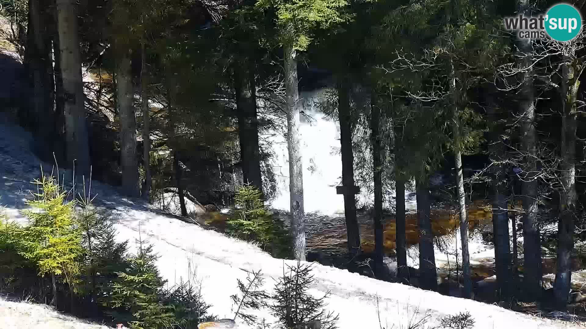 Spletna kamera Rogla apartmaji Dandi – Jurgovo