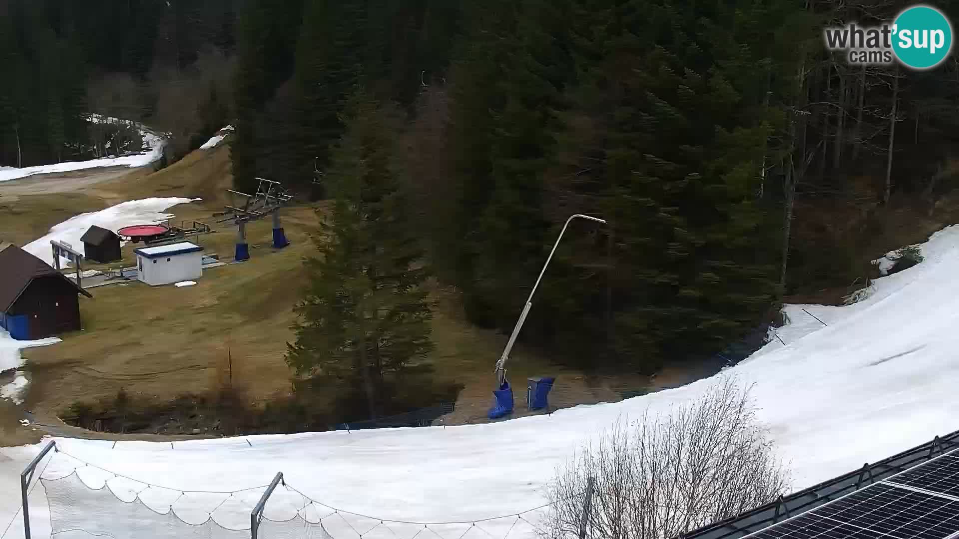 Live Rogla appartements Dandi – Jurgovo