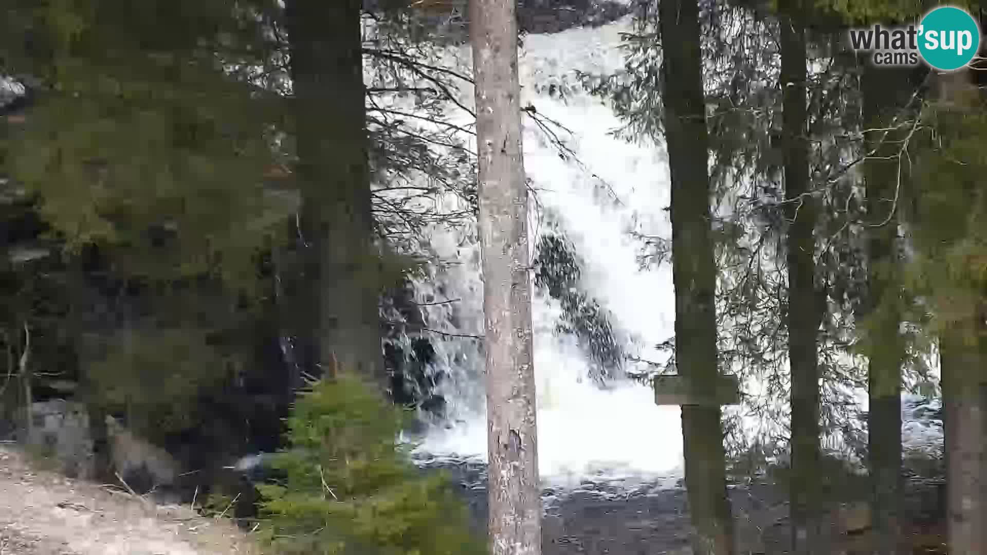 Webcam Rogla Wohnungen Dandi – Jurgovo