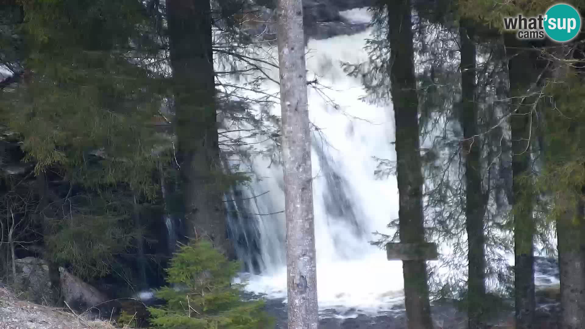 Camera en vivo Rogla appartamentos Dandi – Jurgovo