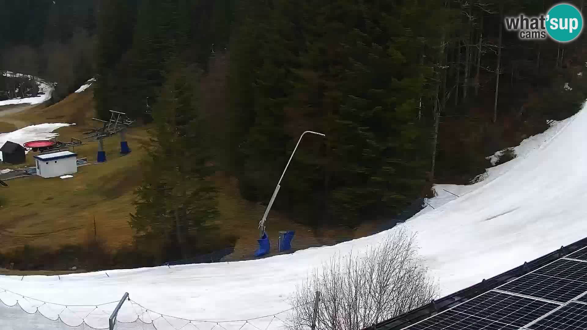 Webcam Rogla Wohnungen Dandi – Jurgovo