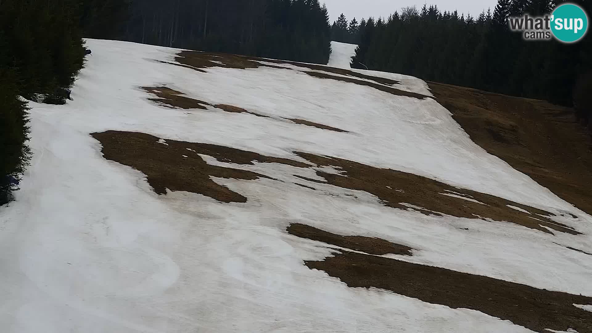 Webcam Rogla Wohnungen Dandi – Jurgovo