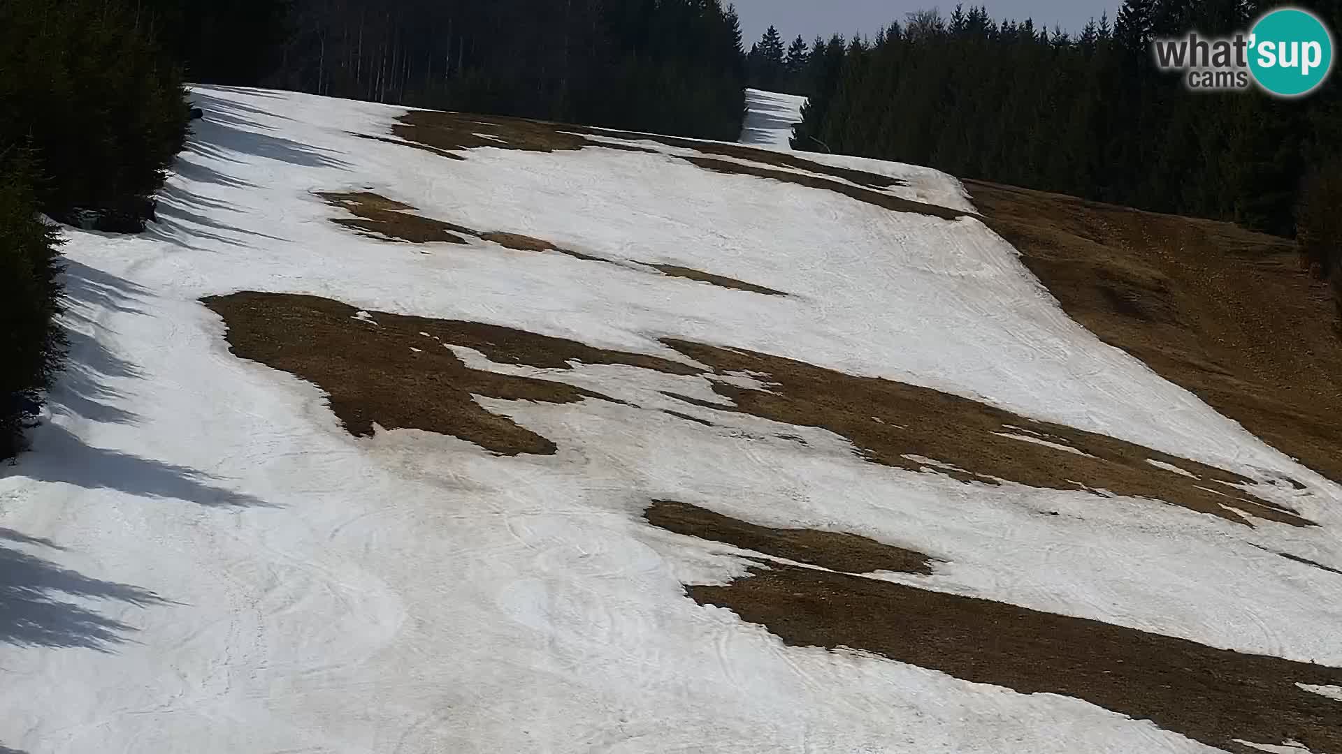 Live Rogla appartements Dandi – Jurgovo