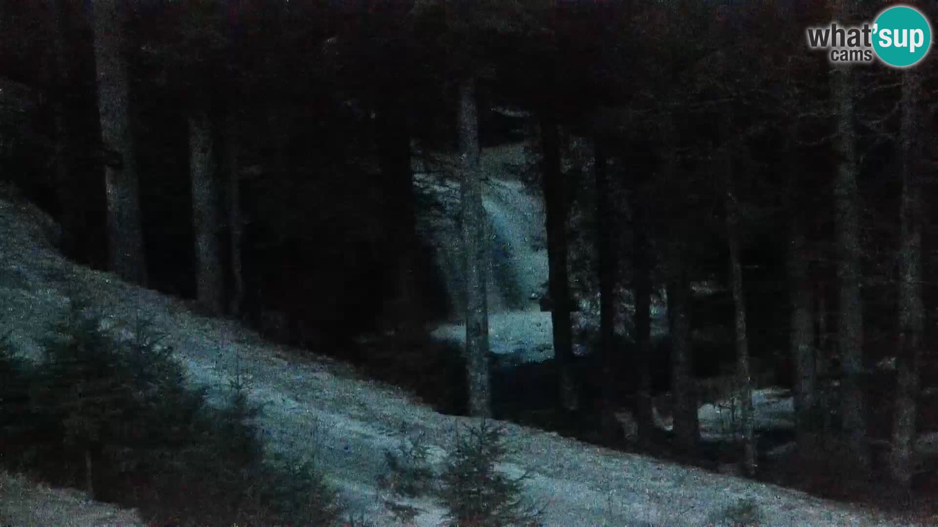 Web kamera Rogla apartmani Dandi – Jurgovo