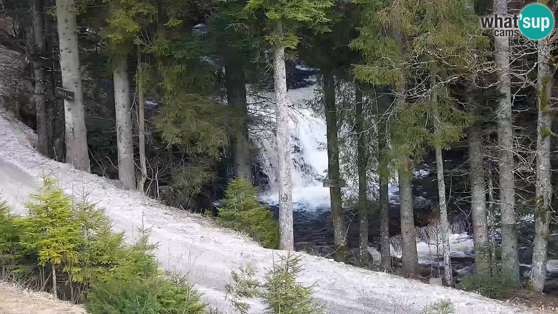 Web kamera Rogla apartmani Dandi – Jurgovo