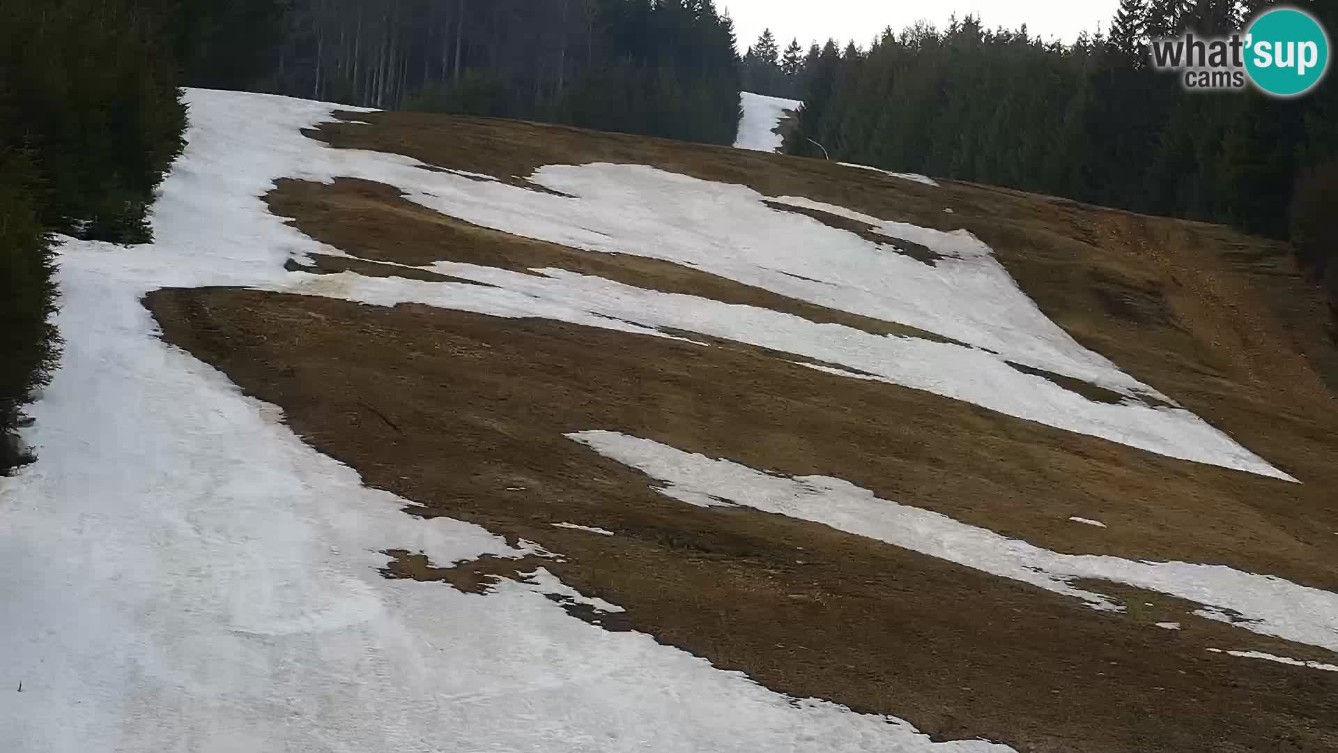 Livecam Rogla apartments Dandi – Jurgovo