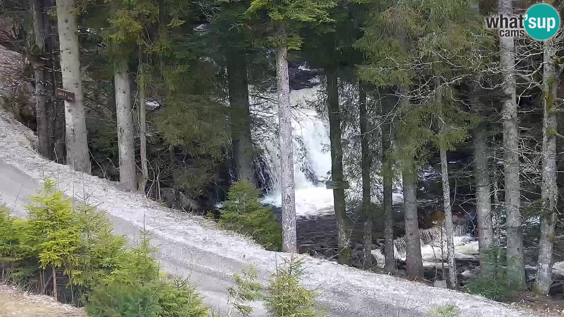 Webcam Rogla Wohnungen Dandi – Jurgovo