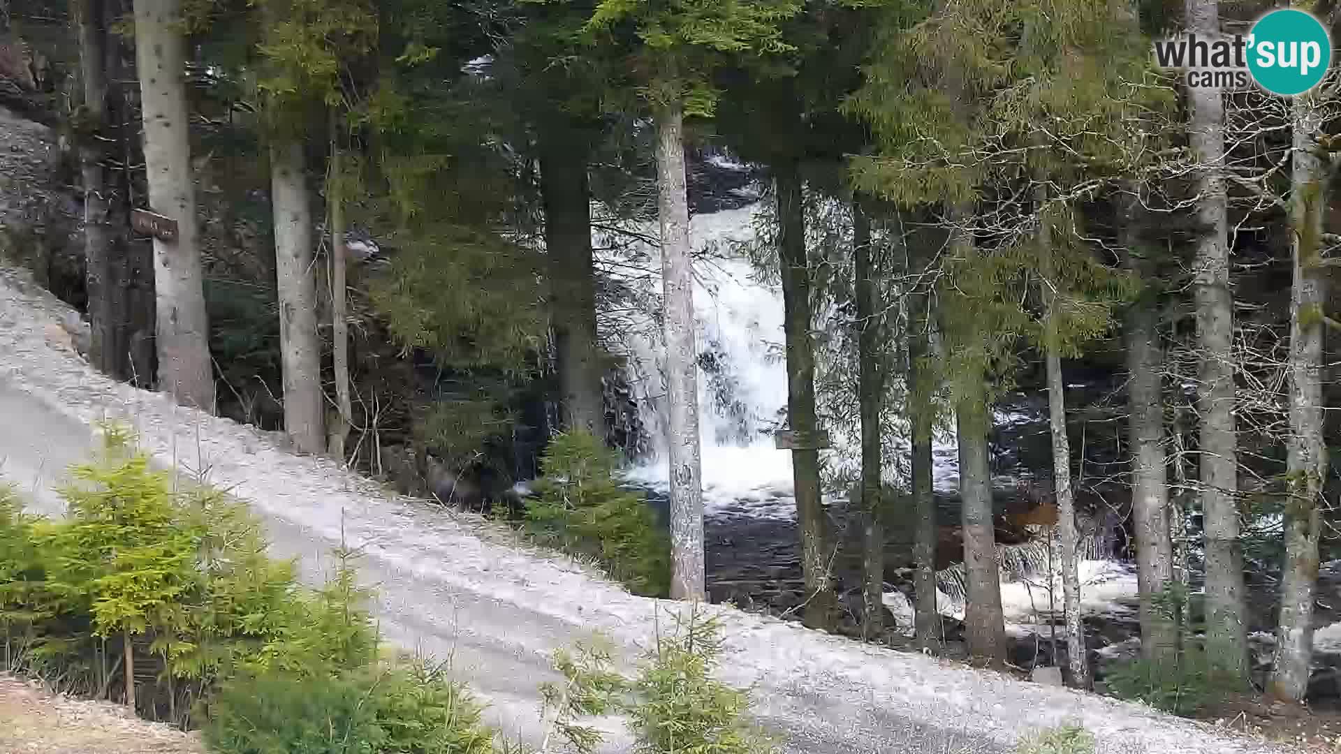 Live Rogla appartements Dandi – Jurgovo