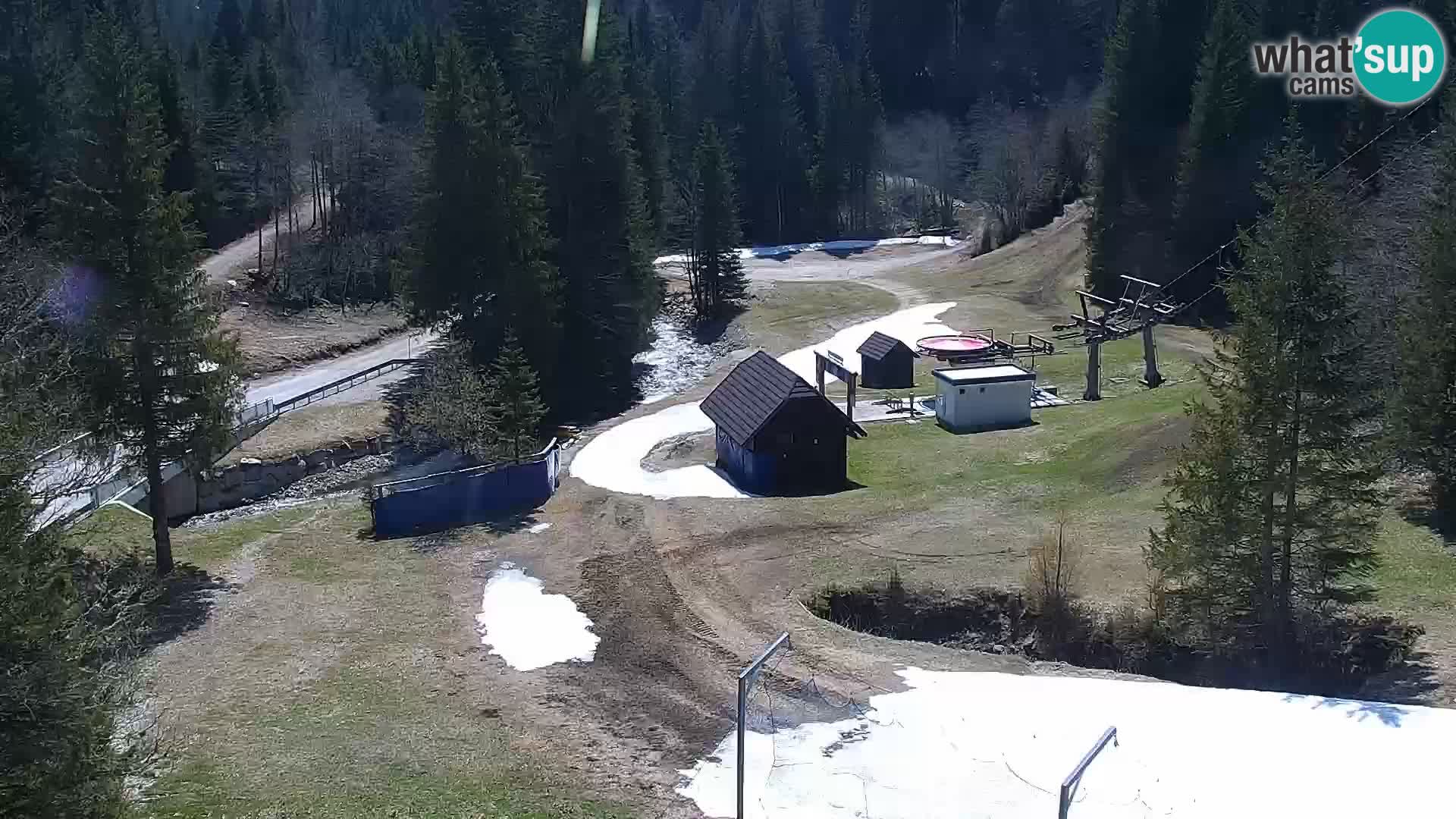 Spletna kamera Rogla apartmaji Dandi – Jurgovo