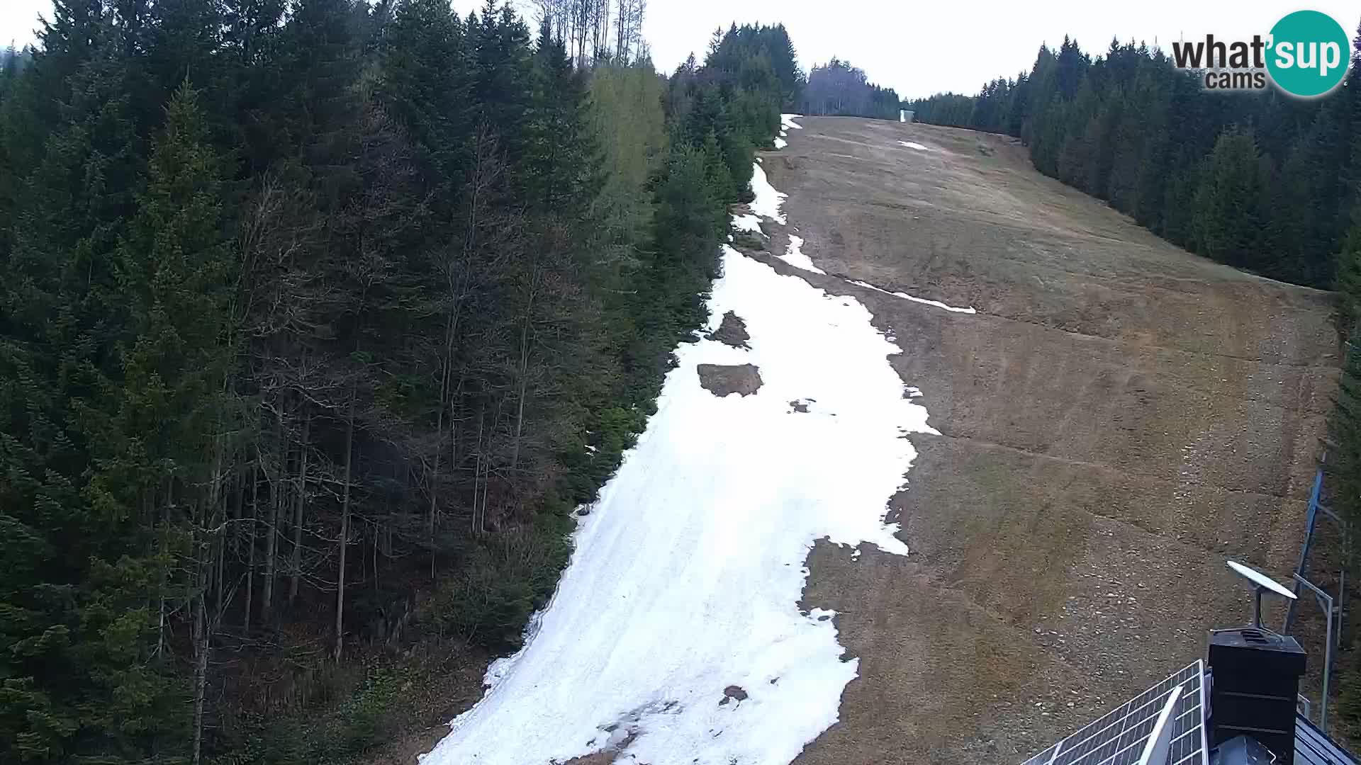 Live Rogla appartements Dandi – Jurgovo