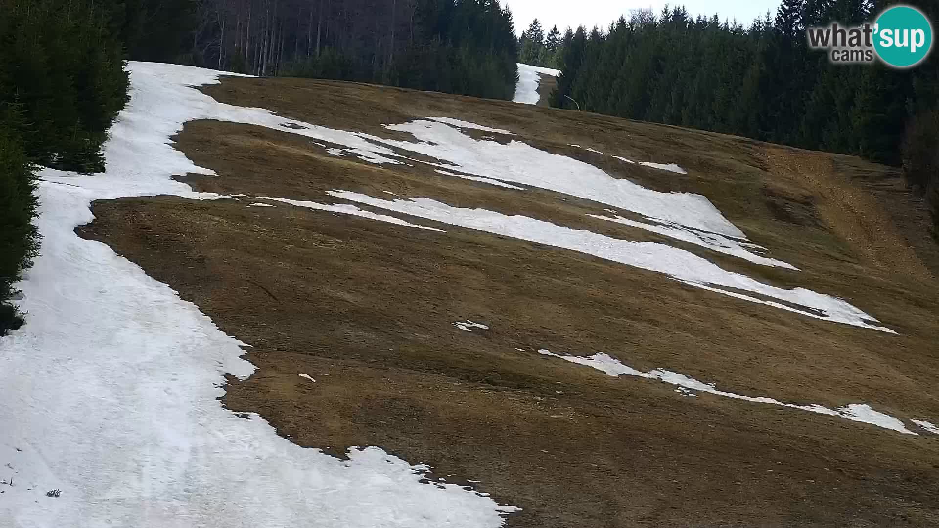 Camera en vivo Rogla appartamentos Dandi – Jurgovo