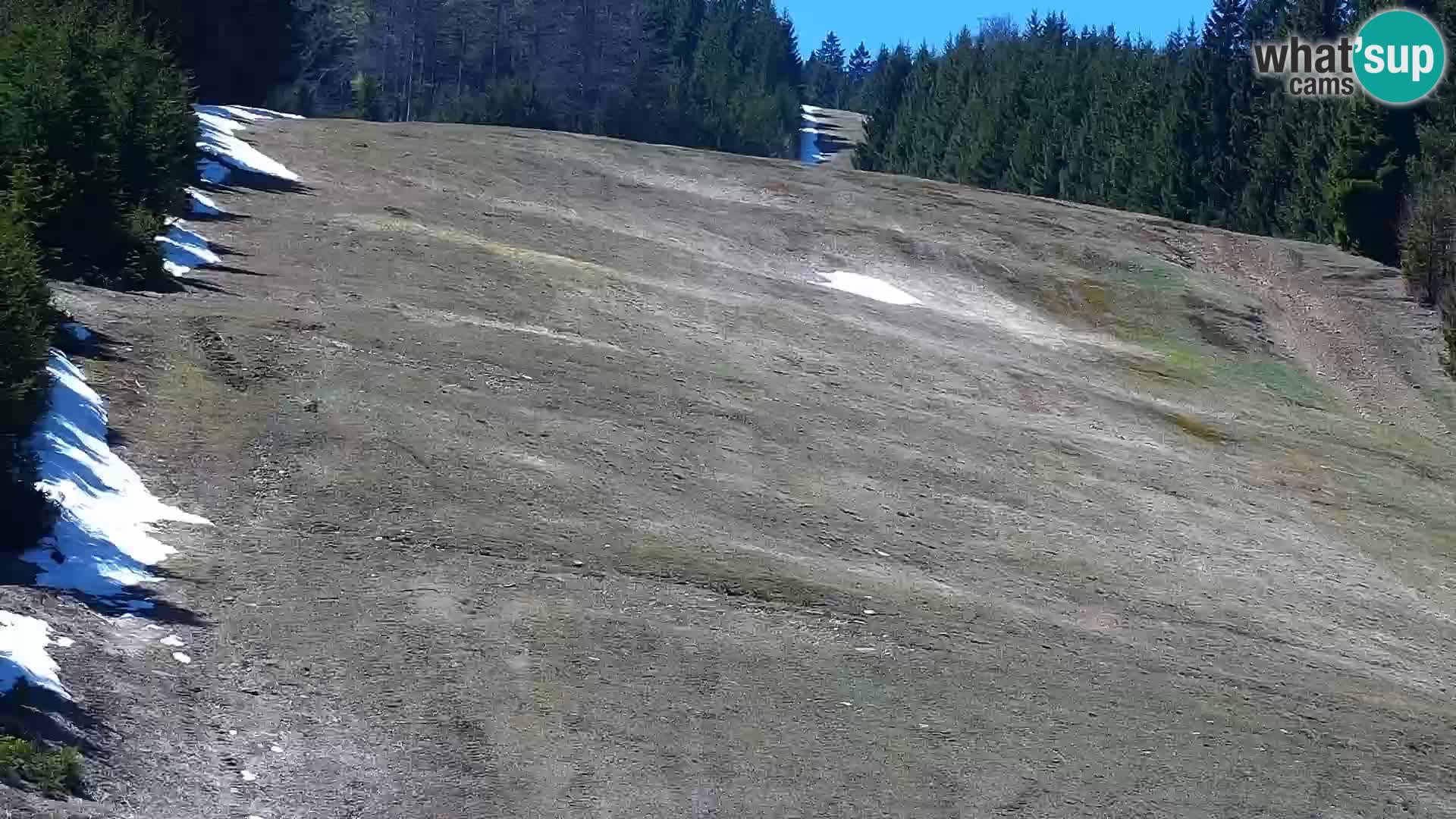 Live Rogla appartements Dandi – Jurgovo