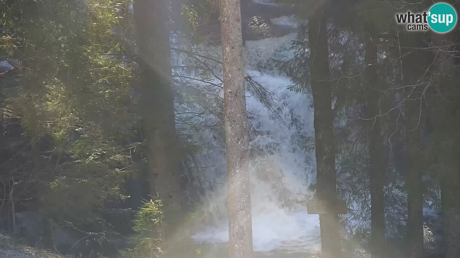 Live Rogla appartements Dandi – Jurgovo