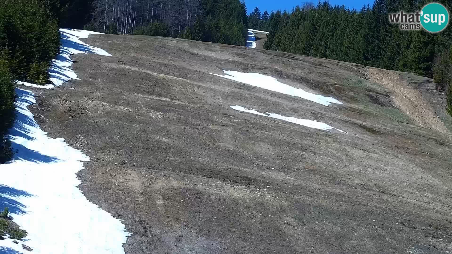 Webcam Rogla Wohnungen Dandi – Jurgovo