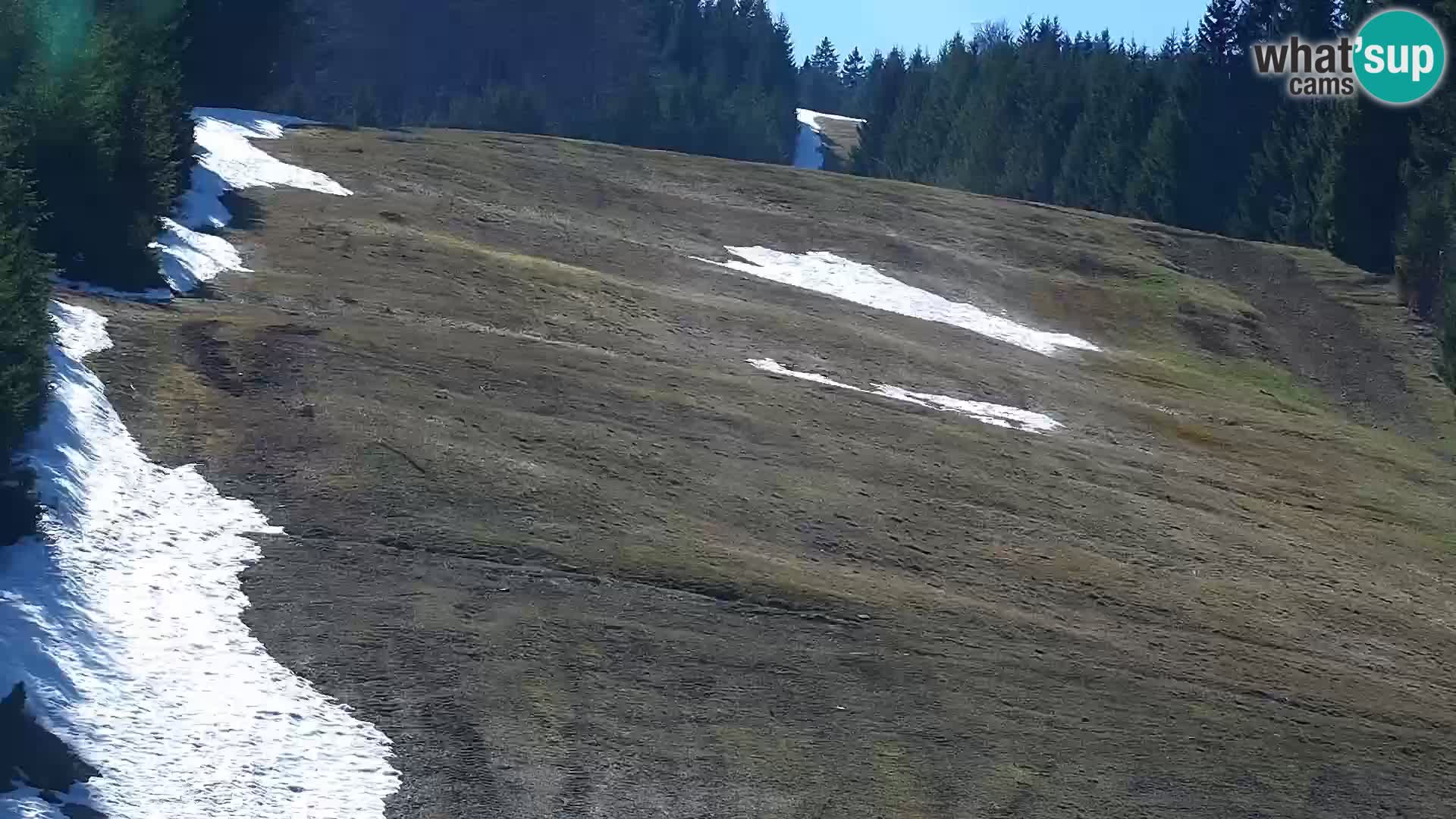 Livecam Rogla apartments Dandi – Jurgovo