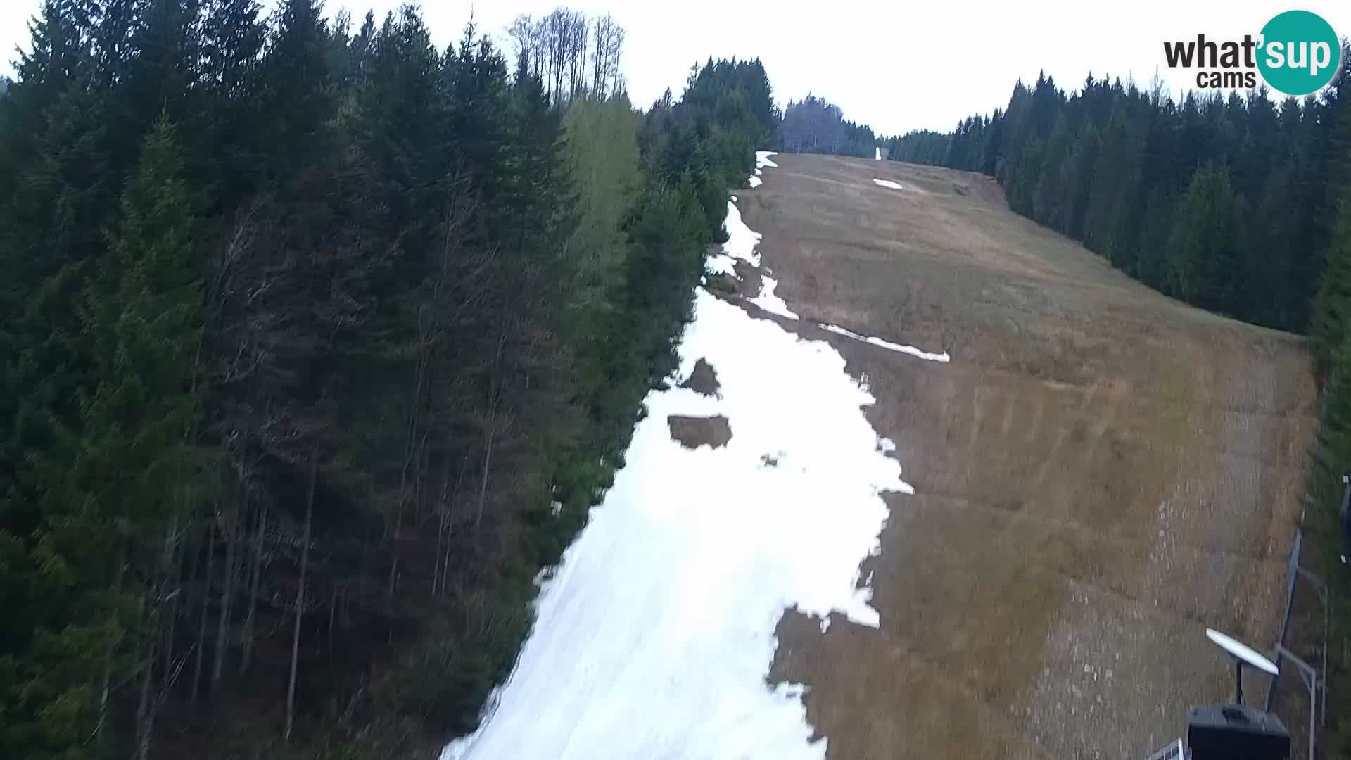 Webcam Rogla Wohnungen Dandi – Jurgovo